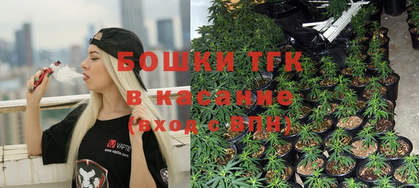 PSILOCYBIN Алзамай