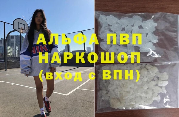 PSILOCYBIN Алзамай